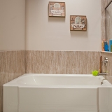 Replacement Bathtub Pia Biscuit